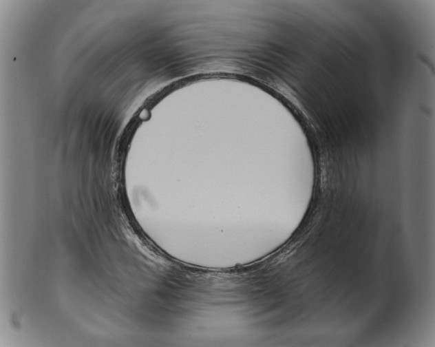 X0000100401116200806271414