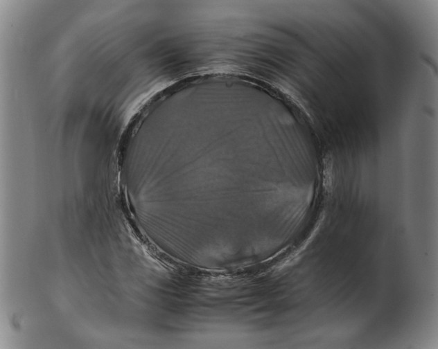X0000100401117200806271414