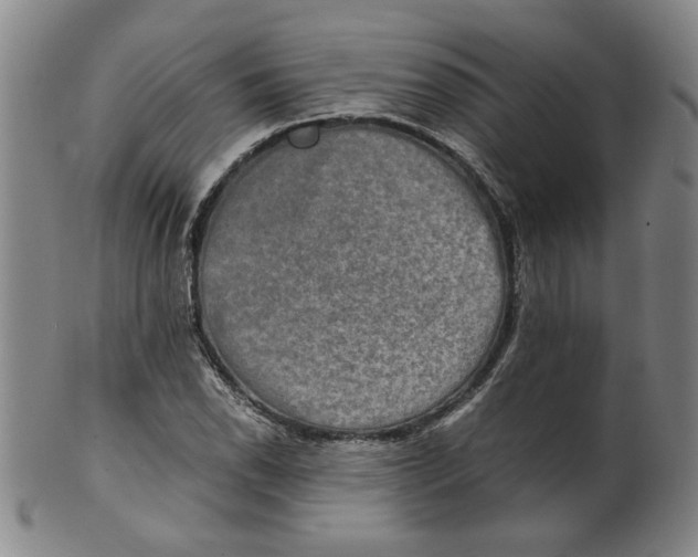 X0000100401118200806271414