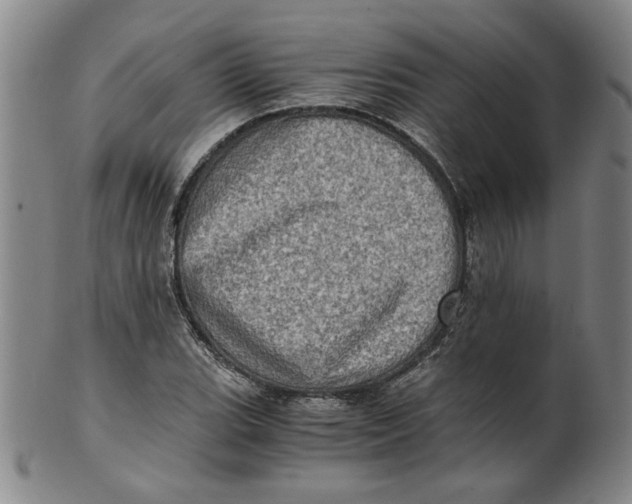 X0000100401119200806271414