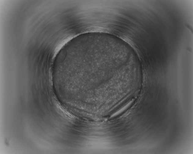 X0000100401120200806271414