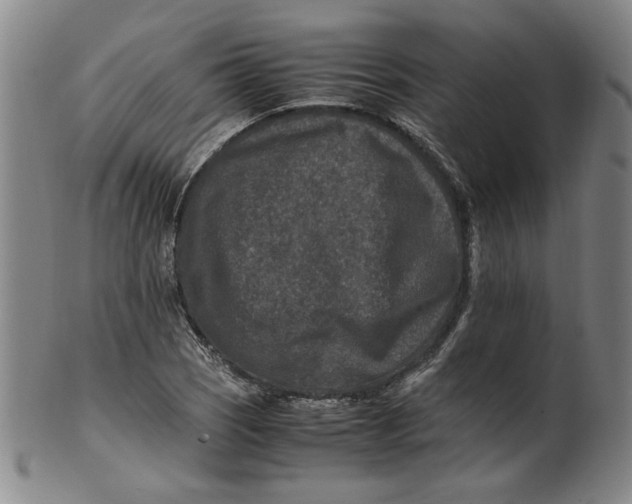 X0000100401121200806271414