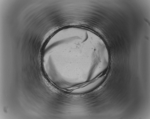 X0000100401122200806271414
