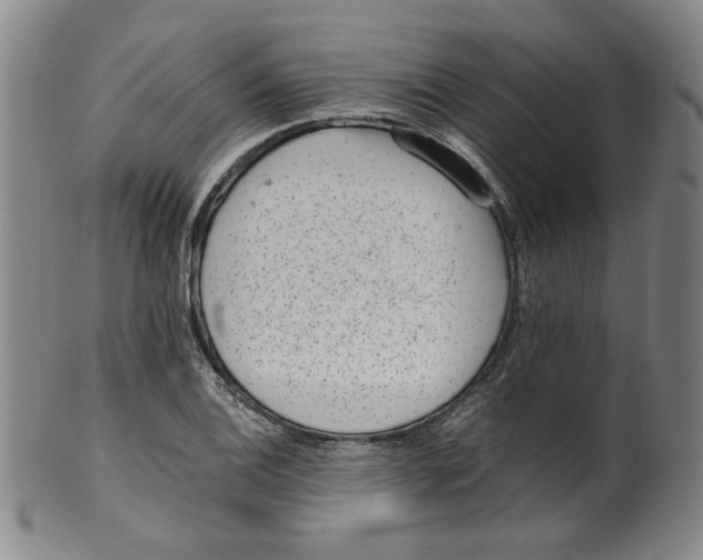X0000100401124200806271414