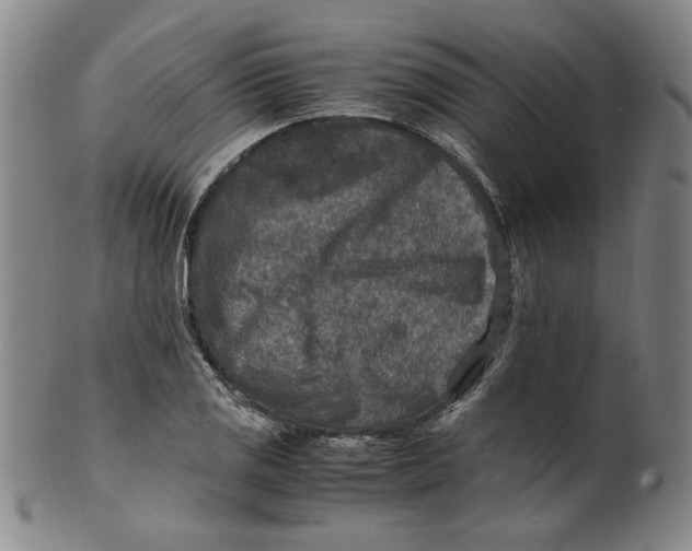 X0000100401125200806271414