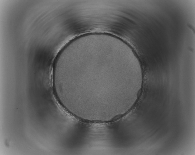 X0000100401126200806271414