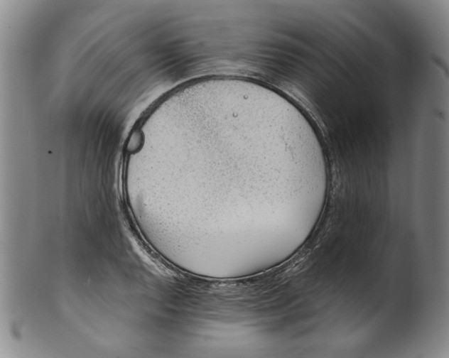 X0000100401128200806271414