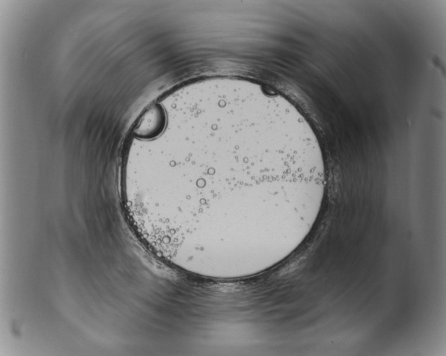 X0000100401130200806271414