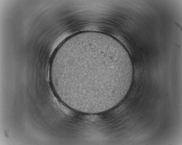 X0000100401131200806271414