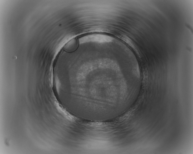 X0000100401132200806271414