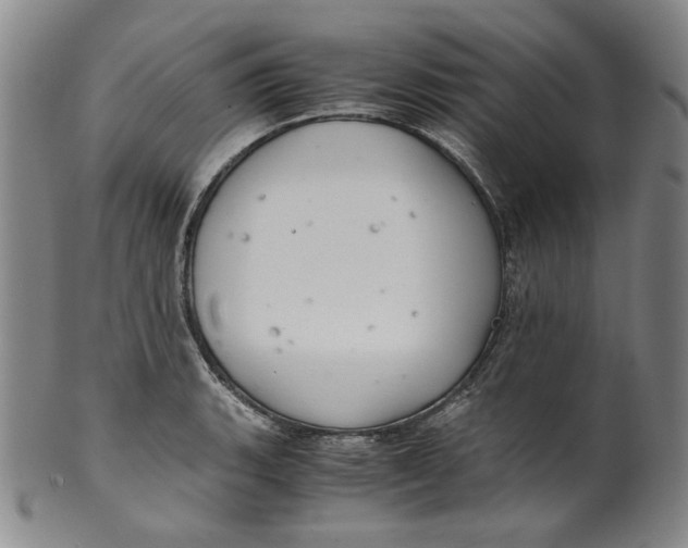 X0000100401135200806271414