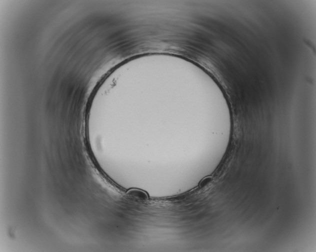 X0000100401136200806271414