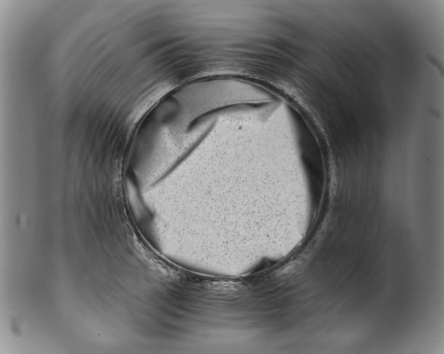 X0000100401137200806271414