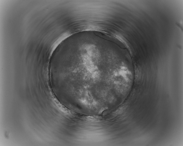 X0000100401138200806271414