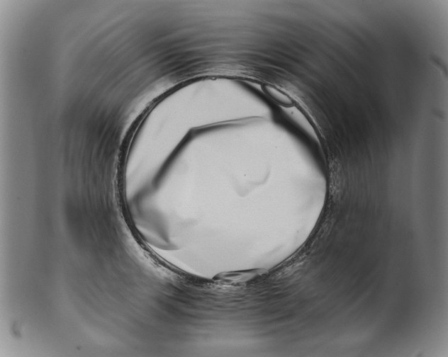 X0000100401139200806271414