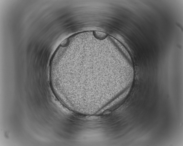 X0000100401140200806271414