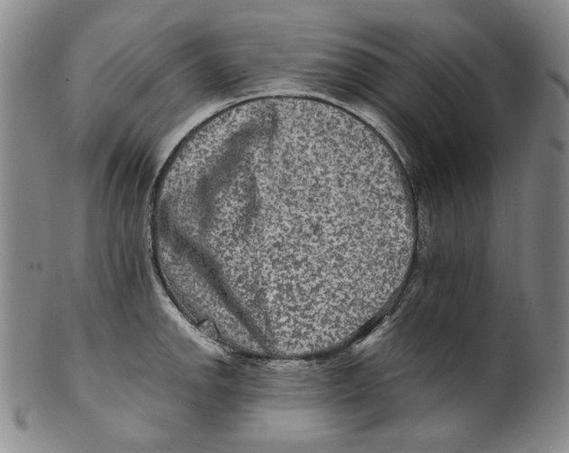 X0000100401142200806271414