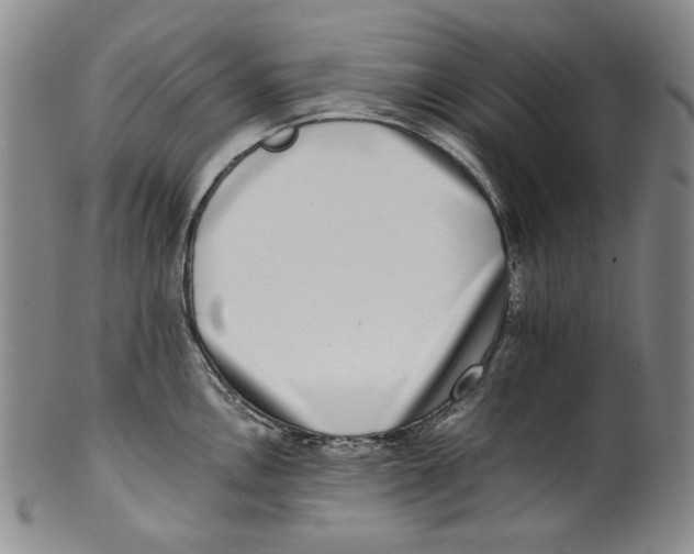 X0000100401146200806271414