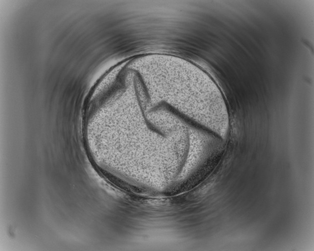 X0000100401147200806271414