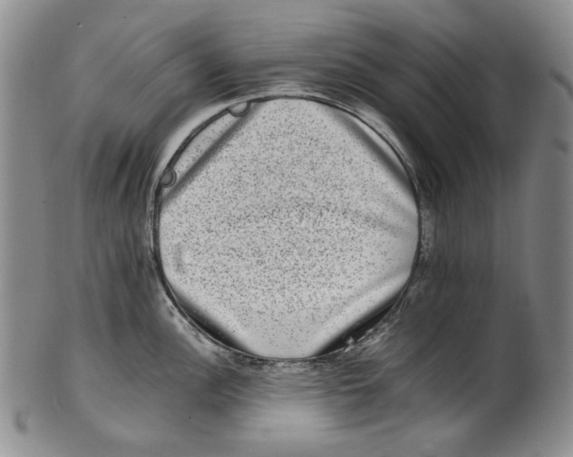 X0000100401148200806271414