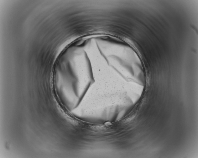 X0000100401149200806271414