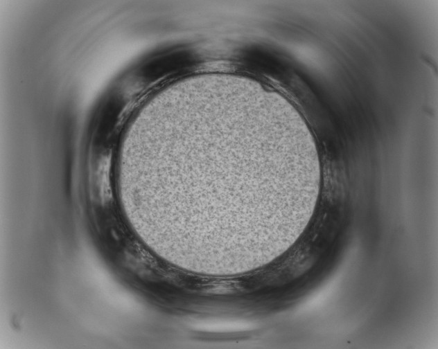 X0000100401150200806271414