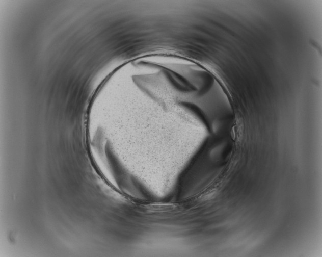 X0000100401151200806271414