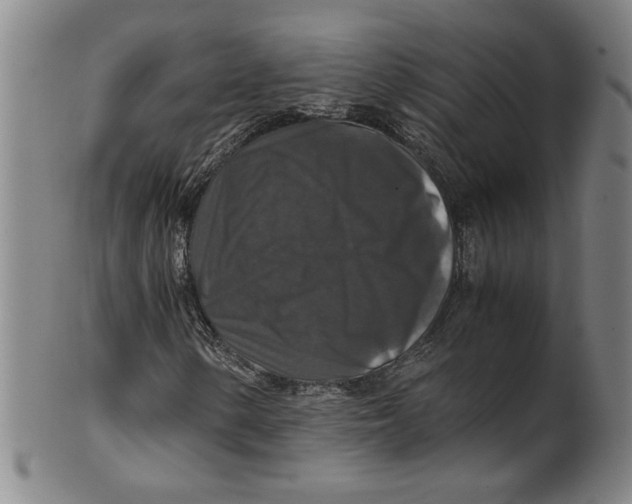 X0000100401154200806271414