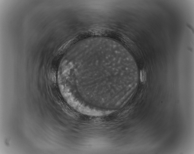 X0000100401155200806271414