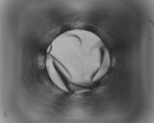 X0000100401156200806271414