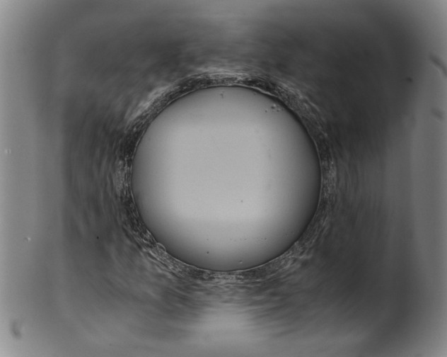 X0000100401157200806271414