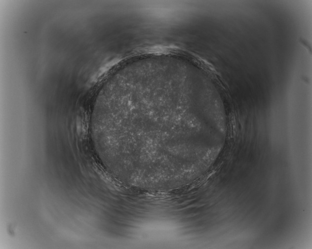 X0000100401158200806271414