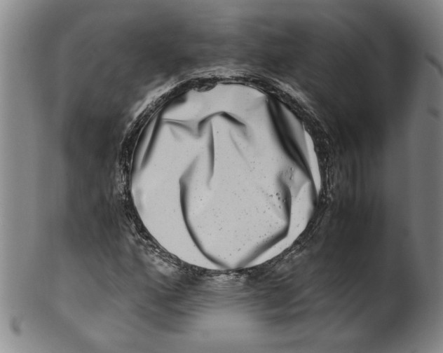 X0000100401160200806271414