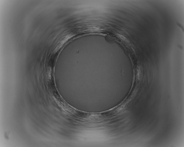 X0000100401161200806271414