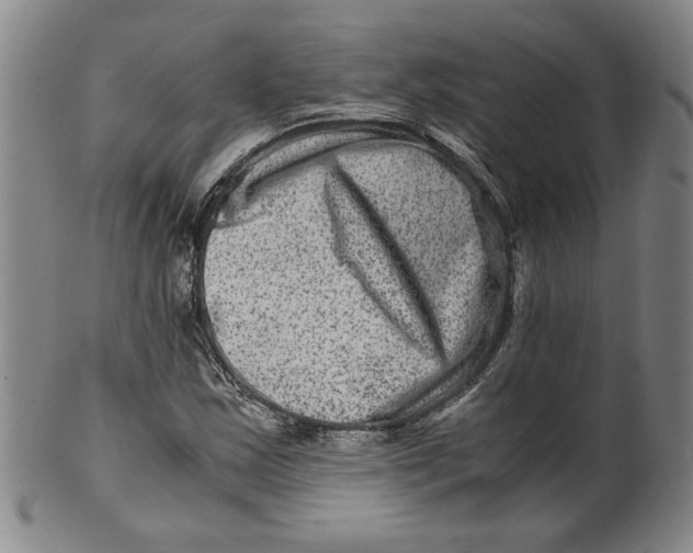 X0000100401163200806271414