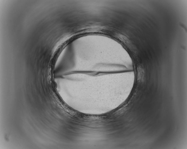 X0000100401164200806271414