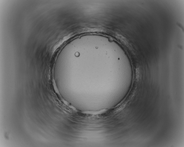 X0000100401165200806271413