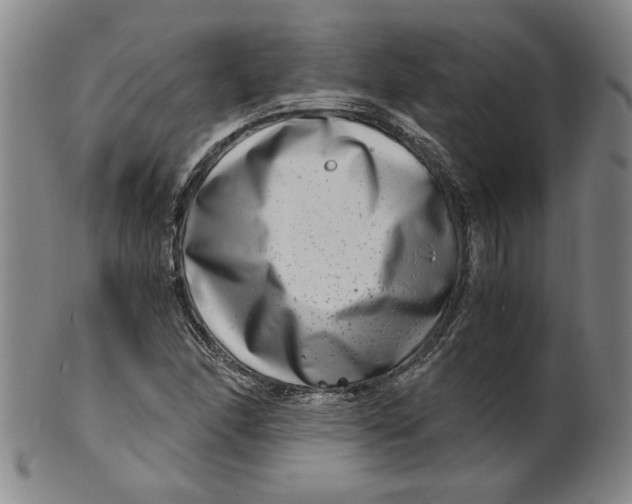 X0000100401166200806271413