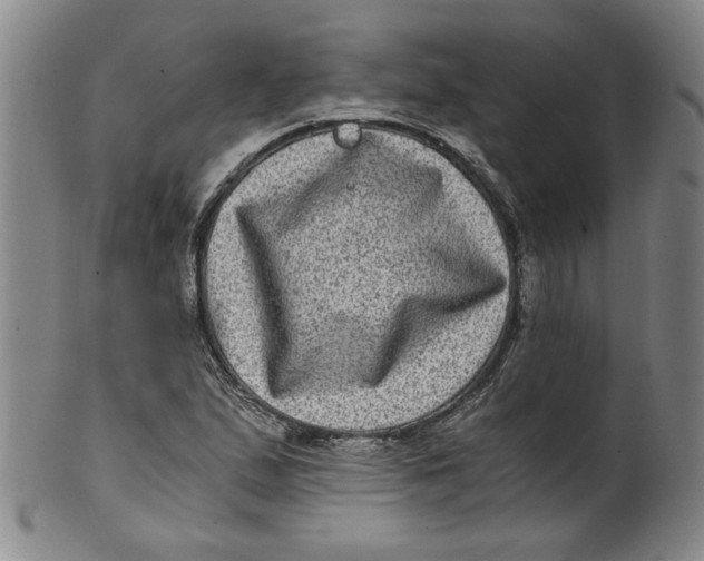 X0000100401167200806271413