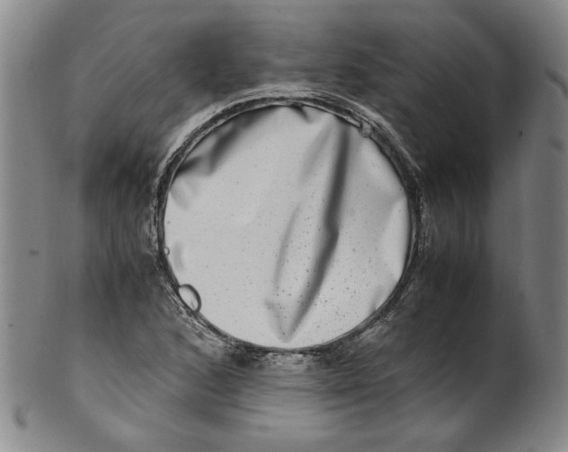 X0000100401168200806271413