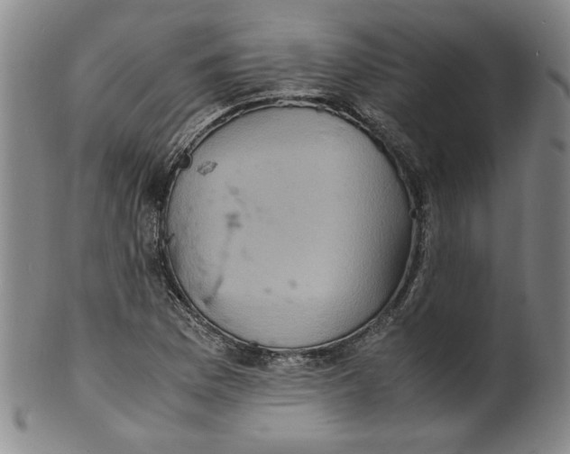 X0000100401169200806271413