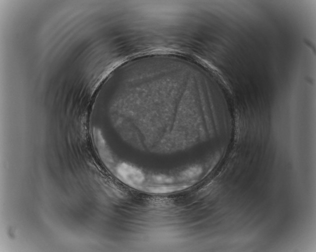 X0000100401170200806271413