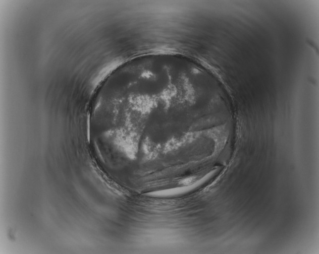 X0000100401171200806271413