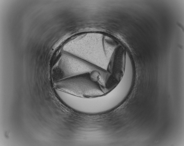 X0000100401173200806271413