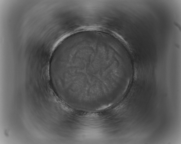 X0000100401174200806271413