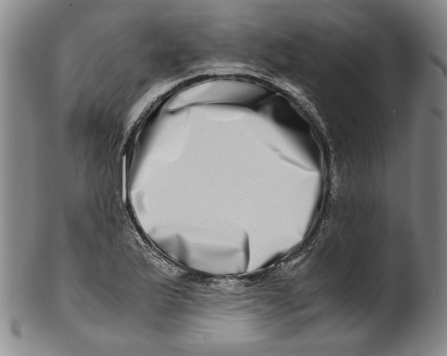 X0000100401175200806271413