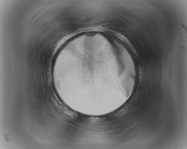 X0000100401176200806271413