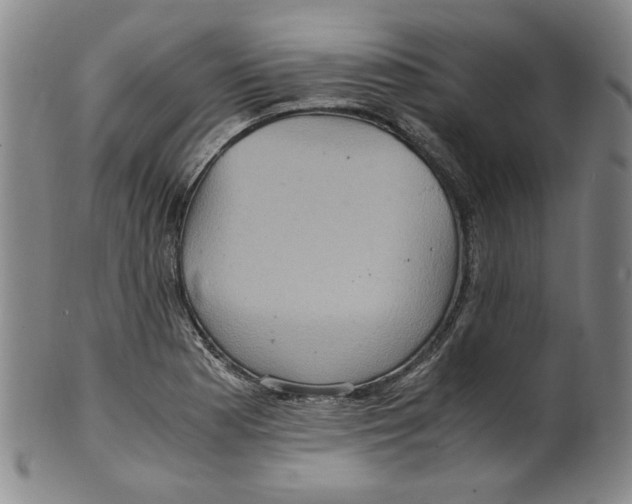 X0000100401177200806271413