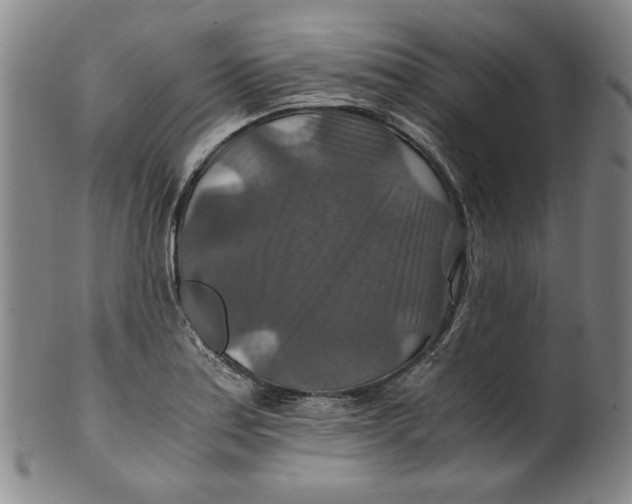 X0000100401179200806271413