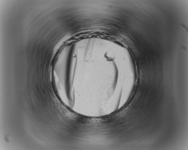 X0000100401180200806271413